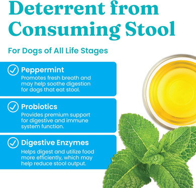 Solid Gold Stop Eating Poop For Dogs With Coprophagia; Natural, Holistic Grain-Free Supplement Chews And Powder With Peppermint & Parsley Oil60Ct