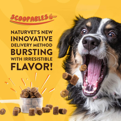 Naturvet Scoopables Advanced Probiotics For Dogs - Chewable Dog Probiotics & Digestive Enzymes - Support A Healthy Gut For Your Pet - Hickory Smoked Bacon Flavor | 11Oz Bag
