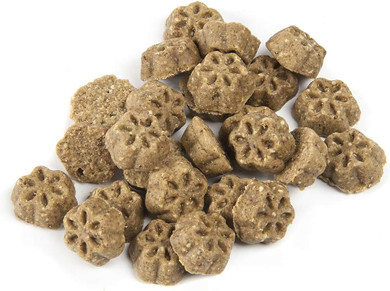 Fruitables Skinny Mini Dog Treats | Healthy Treats For Dogs | Low Calorie Training Treats | Free Of Wheat, Corn And Soy | Pumpkin Spice | 5 Ounces5 Ounce (Pack Of 1)