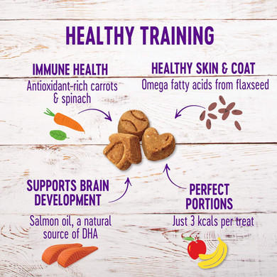Wellness Crunchy Puppy Bites Natural Grain-Free Treats For Training, Dog Treats With Real Meat And Dha, No Artificial Flavors (Crunchy Chicken & Carrots, 6-Ounce Bag)6 Oz