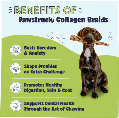 Pawstruck Natural Large 10-13 Beef Collagen Braids For Dogs - Healthy Long Lasting Alternative To Traditional Rawhide & Bully Sticks - Low Fat Dental Treats W/Chondroitin & Glucosamine - 3 Count