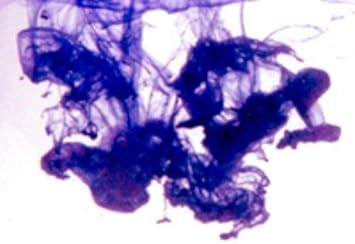 Mystic Moments | Purple - Highly Concentrated Soap Dye 50ml | Perfect for Soap Making, Creams and Lotions