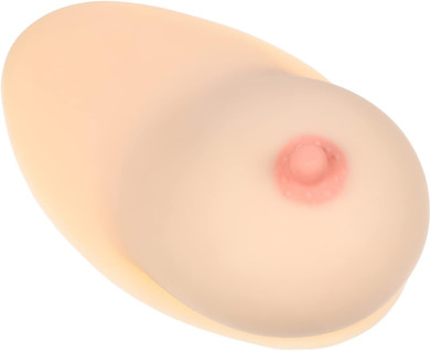 Iplusmile Human Female Silicone Breast, Artificial Breast Model With Base For Breastfeeding Trainning Lactation Doctor Nursing