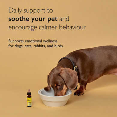 Rescue Remedy Pet Dropper 20Ml, Separation, Travel, Noise Calming For Dogs, Cats, & Other Pets, Homeopathic Flower Essence, Thunder, Fireworks, Travel, Separation, Alcohol Free