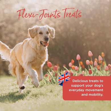 Healthspan Flexi-Joints Treats (400 Treats) | Joint And Bone Health For Dogs | Packed Full Of Nutrients Including Glucosamine And Chondroitin | For All Ages | Chicken Flavour