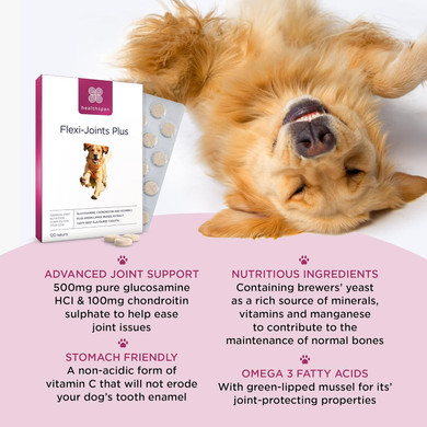 Healthspan Flexi-Joints Plus For Dogs (120 Tablets) | 500Mg Pure Glucosamine Hci Providing 40% More Glucosamine Than The Standard 2Kci Form | With Chondroitin | Beef Flavour