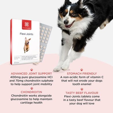 Healthspan Flexi-Joints For Dogs (240 Tablets) | High Strength Glucosamine & Chondroitin | With Vitamins C & E | Formulated To Support Joint Mobility | Beef Flavoured