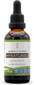 Secrets Of The Tribe Wheatgrass Alcohol Liquid Extract, Wheatgrass (Triticum Aestivum) Dried Leaf Tincture Supplement (2 Fl Oz)
