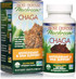 Host Defense, Chaga Capsules, Antioxidant And Dna Support, Mushroom Supplement, Unflavored, 6060 Count (Pack Of 1)