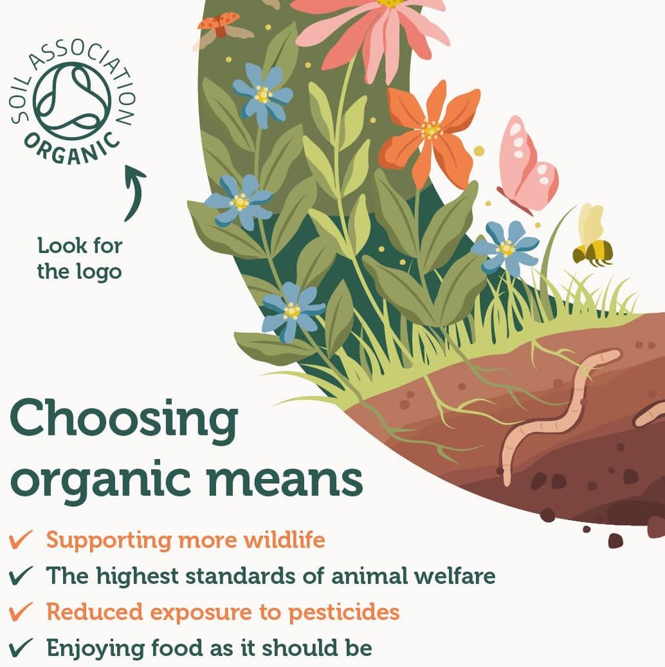 Organic Oregano Oil 25Ml (175 Servings) From Finest Hand-Picked Organic Mediterranean Wild Oregano Leaves, Certified By The Soil Association Uk