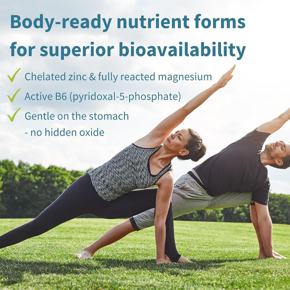 Neurobalance, Zinc Picolinate, Magnesium Citrate & Vitamin B6, Clean Label, 360 Small Tablets, Zinc And Magnesium Tablets, Brain Booster, Concentration, Kids & Adults, 90-360 Servings, By Igennus

Size: 360 Count (Pack Of 1)