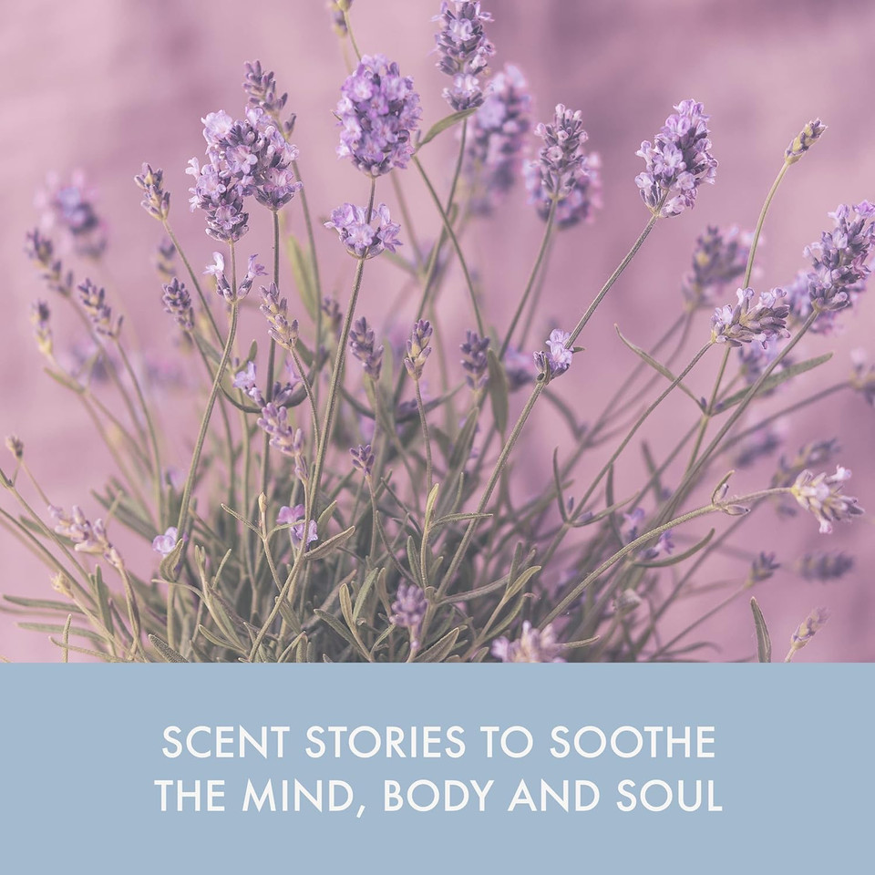 Baylis & Harding The Fuzzy Duck Cotswold Spa Rose & Neroli Indulge Luxury Hand Cream Treats Gift Set (Pack Of 1) - Vegan Friendly