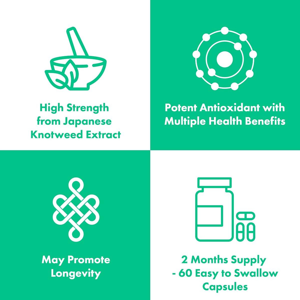 High Strength Trans-Resveratrol - 98% Purity (3rd Party Tested) | 500mg x 60 Capsules / 60 Servings | from Japanese Knotweed Root Extract | Pure Fill (Nothing Else Added) | Love Life Supplements
