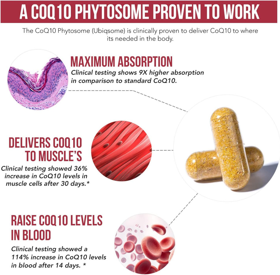 SoActive CoQ10® 250 mg: CoQ10 Phytosome with up to 9X Higher Absorption - Proven Cellular Delivery - Supports Cellular Energy Production (60 Capsules)