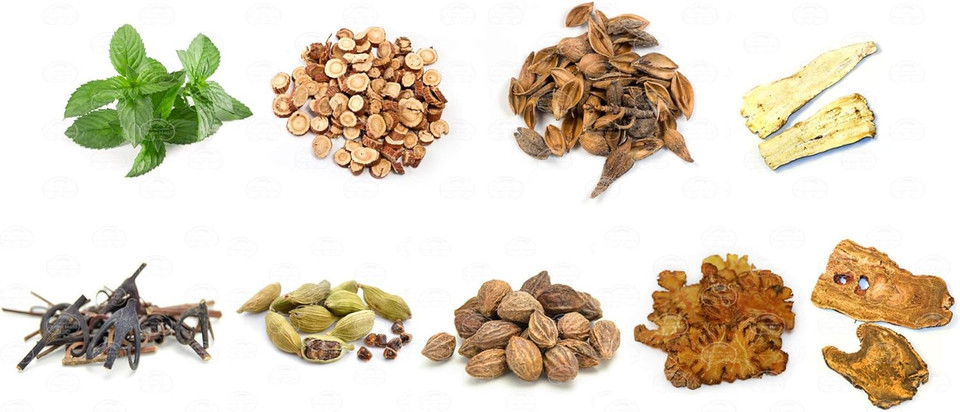 Dragon Herbs - Golden Voice Capsules - 100 Capsules, 500 Mg Each