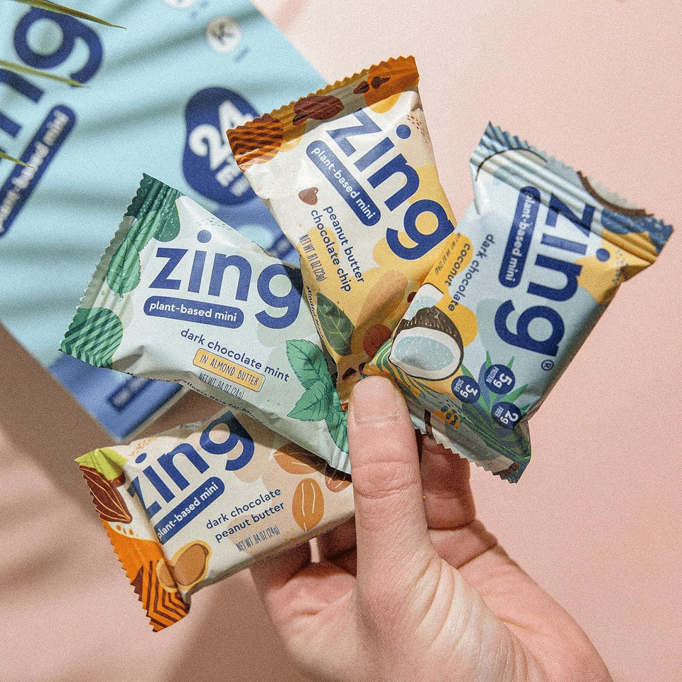 Zing Kids Protein Bars Variety Pack, Gluten Free 100 Calorie Mini Bars with High Protein, Vegan Nutrition Bars, Dairy Free Plant Based Protein - 24 count