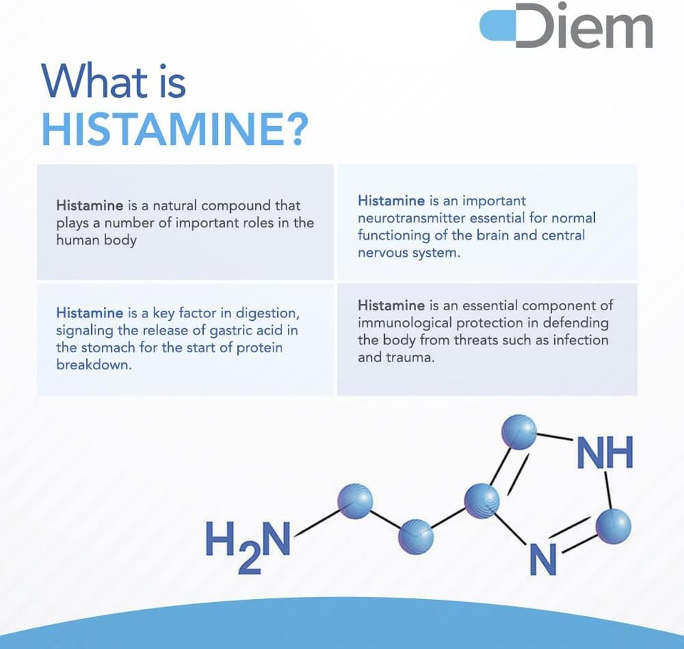 Omne Diem Histamine Digest Dao 20,000 Hdu - 60 Caps - Histamine Neutralizing Enzyme - Relieve Histamine Intolerance With Diamine Oxidase60 Count (Pack Of 1)