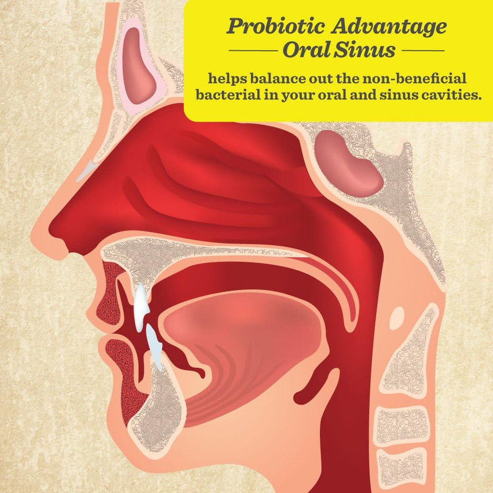 Healthy Directions Dr. David Williams' Probiotic Advantage Oral Sinus Probiotics For Your Mouth, Teeth, And Gums, Sugar-Free, Natural Cinnamon Flavor, 50 Lozenges (50-Day Supply)