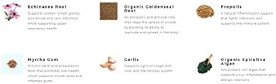 Professional Botanicals Attack Herbal Immune Support Supplement Echinacea Root And Organic Goldenseal - 60 Vegetarian Capsules