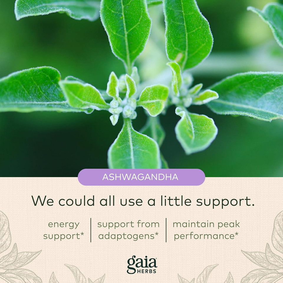 Gaia Herbs Adaptogen Performance Mushrooms & Herbs - Energy Support Supplement To Help Sustain Endurance And Stamina* - Contains Cordyceps And Ashwagandha - 60 Organic Vegan Capsules (30-Day Supply)
