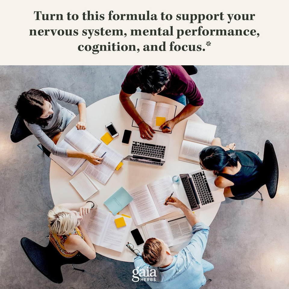 Gaia Herbs Lionã¢ÂS Mane Mushroom - Help Maintain Neurological Health - 120 Vegan Liquid Phyto-Capsules & Holy Basil Leaf - Helps Sustain A Positive Mindset And Balance In Times Of Stress - 120 Vegan Li