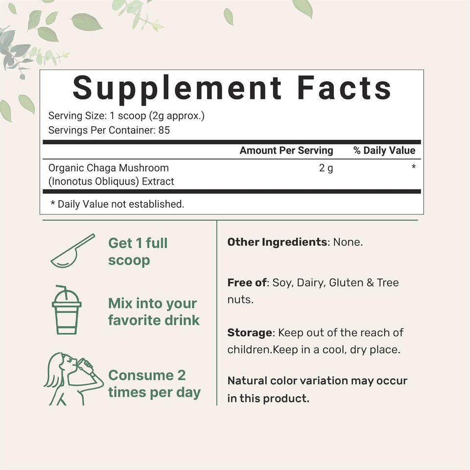 Micro Ingredients Organic Chaga Mushroom Extract 100:1 Powder, 6 Ounce | Sustainably Maine Grown, Wild Harvest, Chaga Tea, Superfood For Beverage And Smoothie, Vegan Friendly