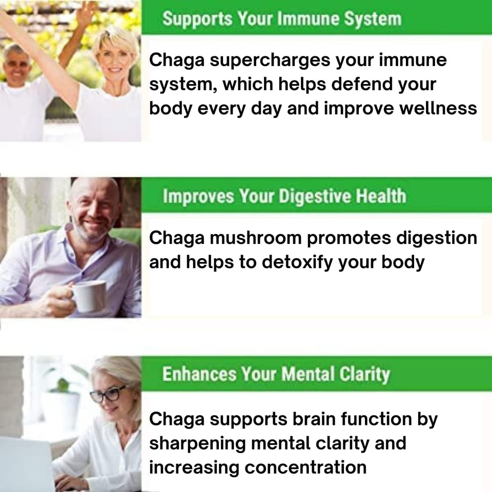 Sayan Siberian Raw Ground Chaga Powder 1 Lbs (454G) - Wild Forest Mushroom Tea, Powerful Adaptogen Antioxidant Supplement - Support For Immune System And Digestive Health1 Pound (Pack Of 1)
