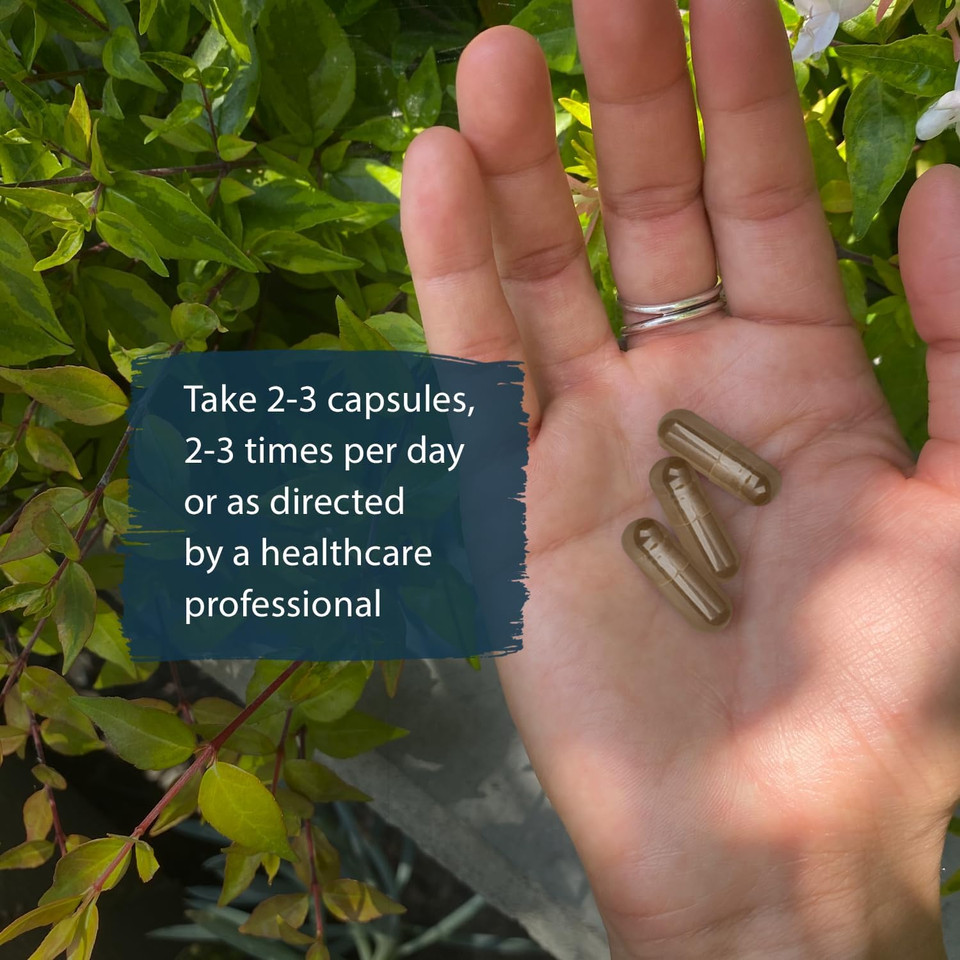 Dragon Herbs He Shou Wu | Prepared He Shou Wu Supplement To Support Energy, Mood, Immune Support, Healthy Aging, Hair | All Natural Ingredients, Non-Gmo (100 Capsules, 500 Mg Per Capsule