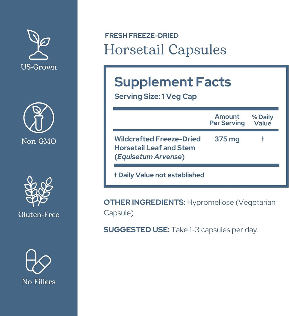 Eclectic Institute Raw Fresh Freeze-Dried Non-Gmo Horsetail | 90 Ct (375 Mg)