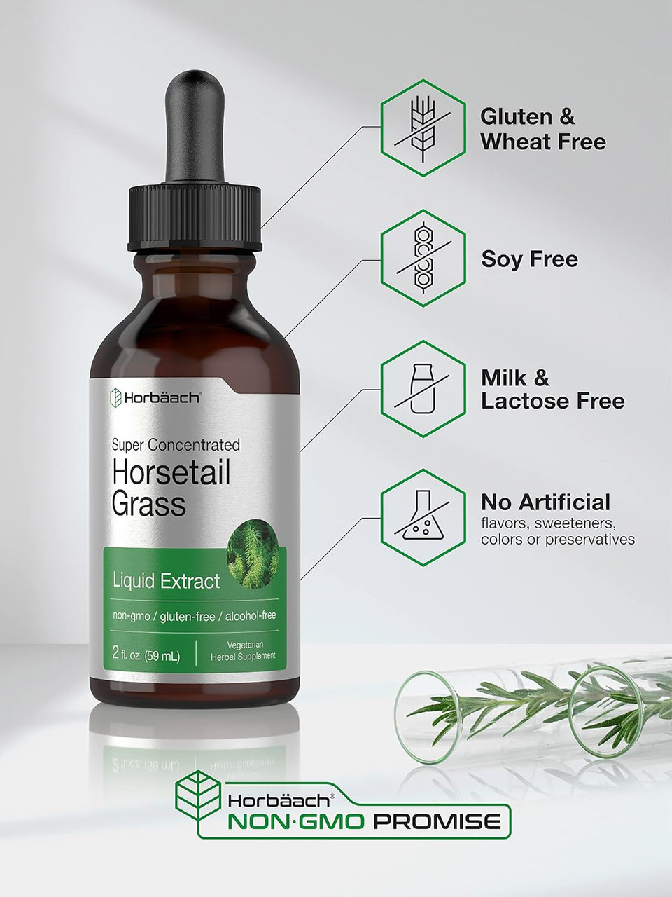 Horsetail Herb Liquid Extract | Alcohol Free | 2 Fl Oz | Vegetarian, Non-Gmo, & Gluten Free Supplement | By Horbaach