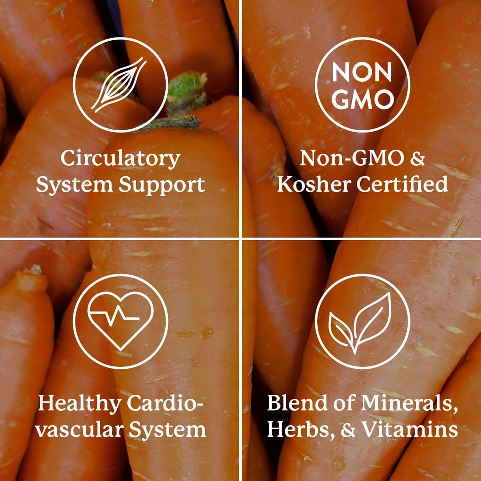 Nature'S Sunshine Mega-Chel, 120 Tablets, Complete Vitamin With Powerful Antioxidants, Herbs, Vitamins, Minerals, And Amino Acids That Support The Circulatory System