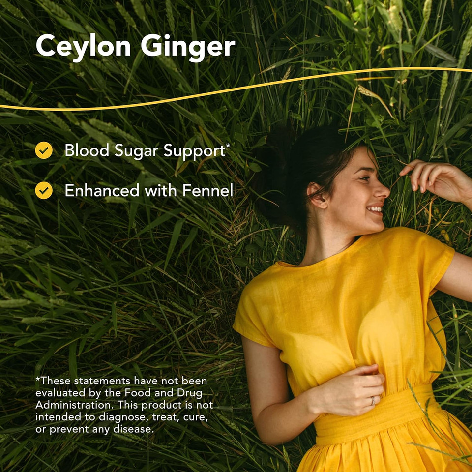 North American Herb & Spice Gingamax - 90 Capsules - Ceylon Ginger - Digestive Support - Non-Gmo - 45 Servings