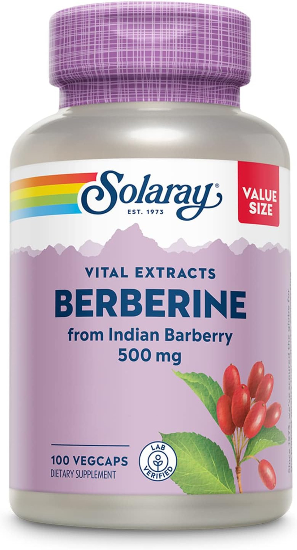 Solaray Berberine 500 Mg From Indian Barberry Root, Berberine Hcl Extract For Healthy Metabolism And Ketone Synthesis Support, Ampk Activator, 60 Day Guarantee100Ct