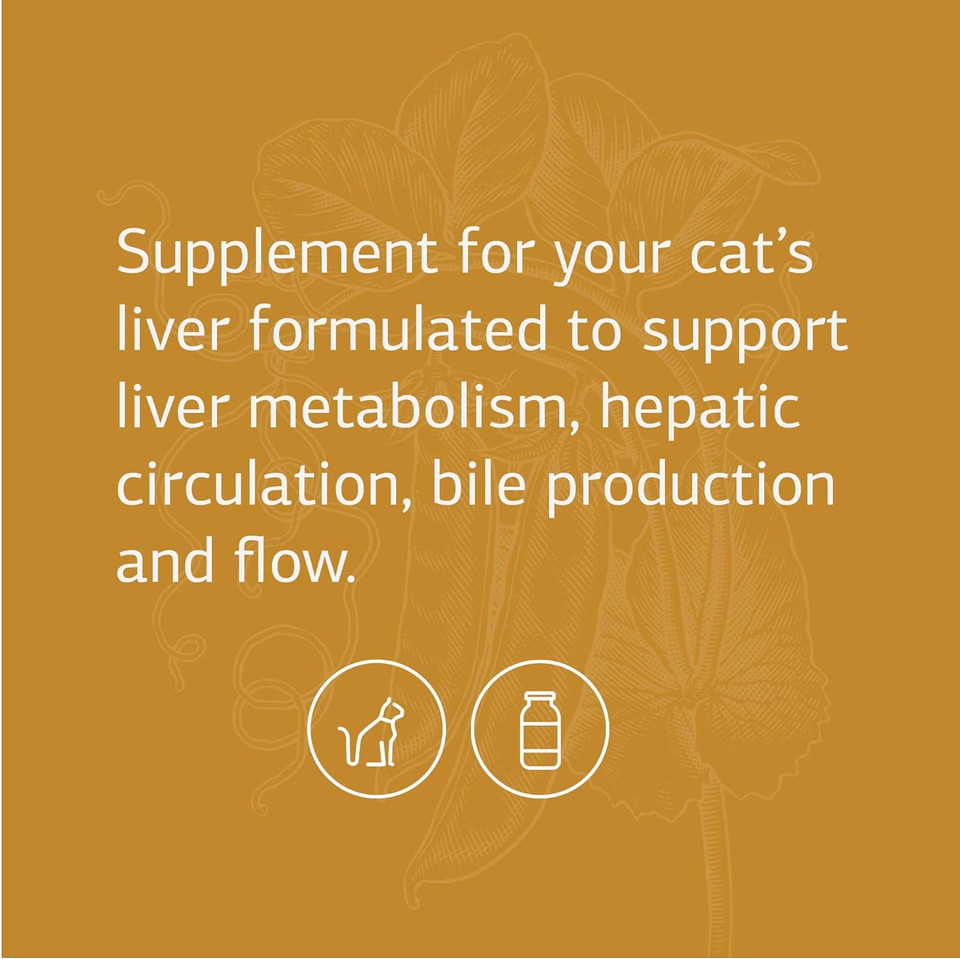 Standard Process - Feline Hepatic Support - Liver Metabolism Support For Cats - 90 Tablets
