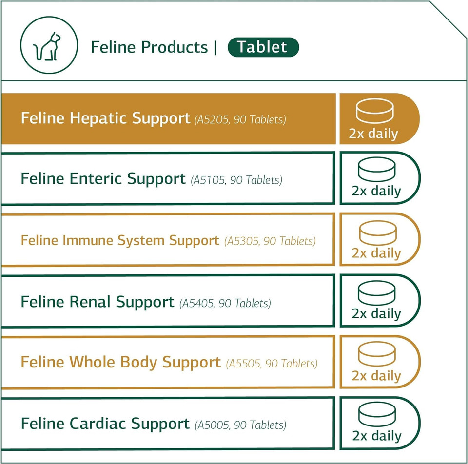Standard Process - Feline Hepatic Support - Liver Metabolism Support For Cats - 90 Tablets