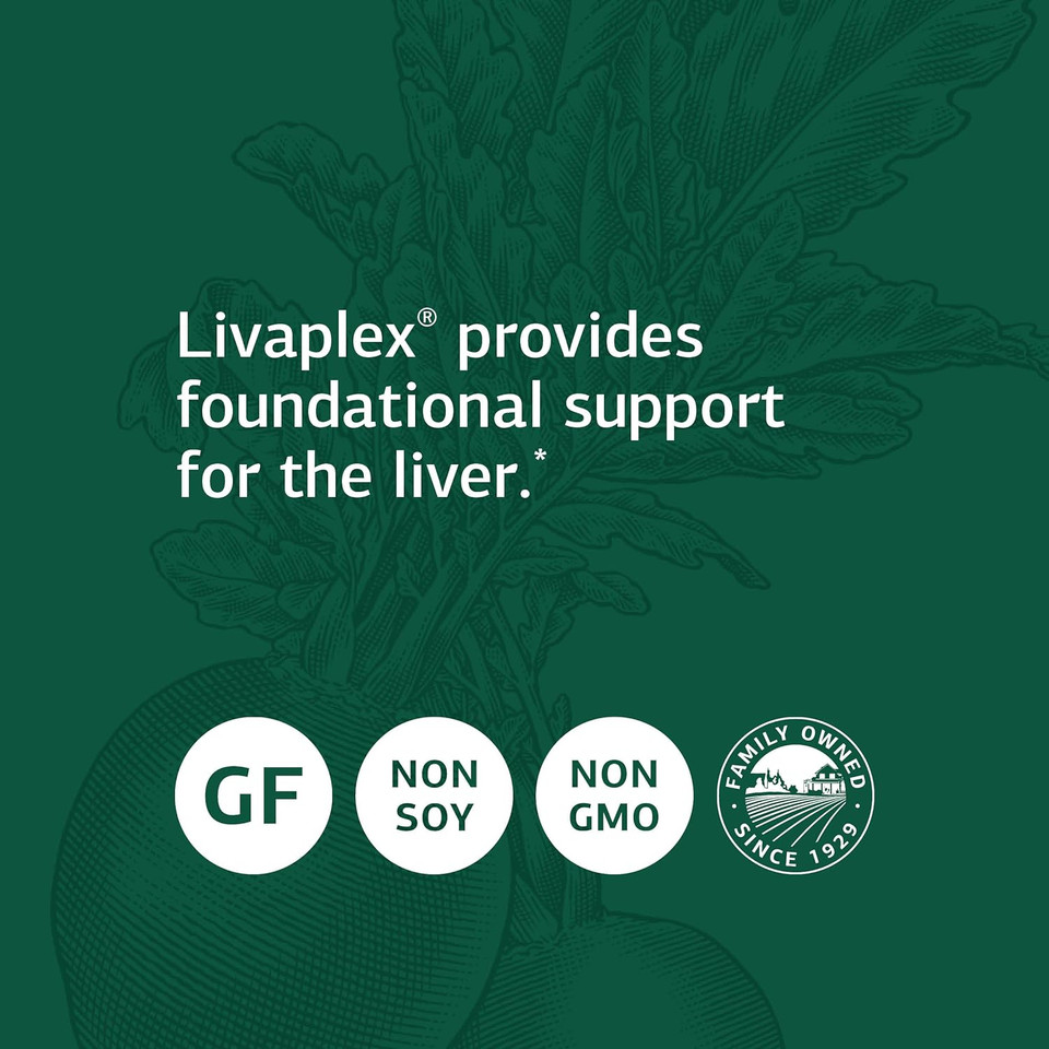 Standard Process Livaplex - Liver Health Support Supplement - Digestive Health Aid With Vitamin A, Vitamin B6 & Zinc - Liver Support Capsules Aid Elimination - 90 Capsules