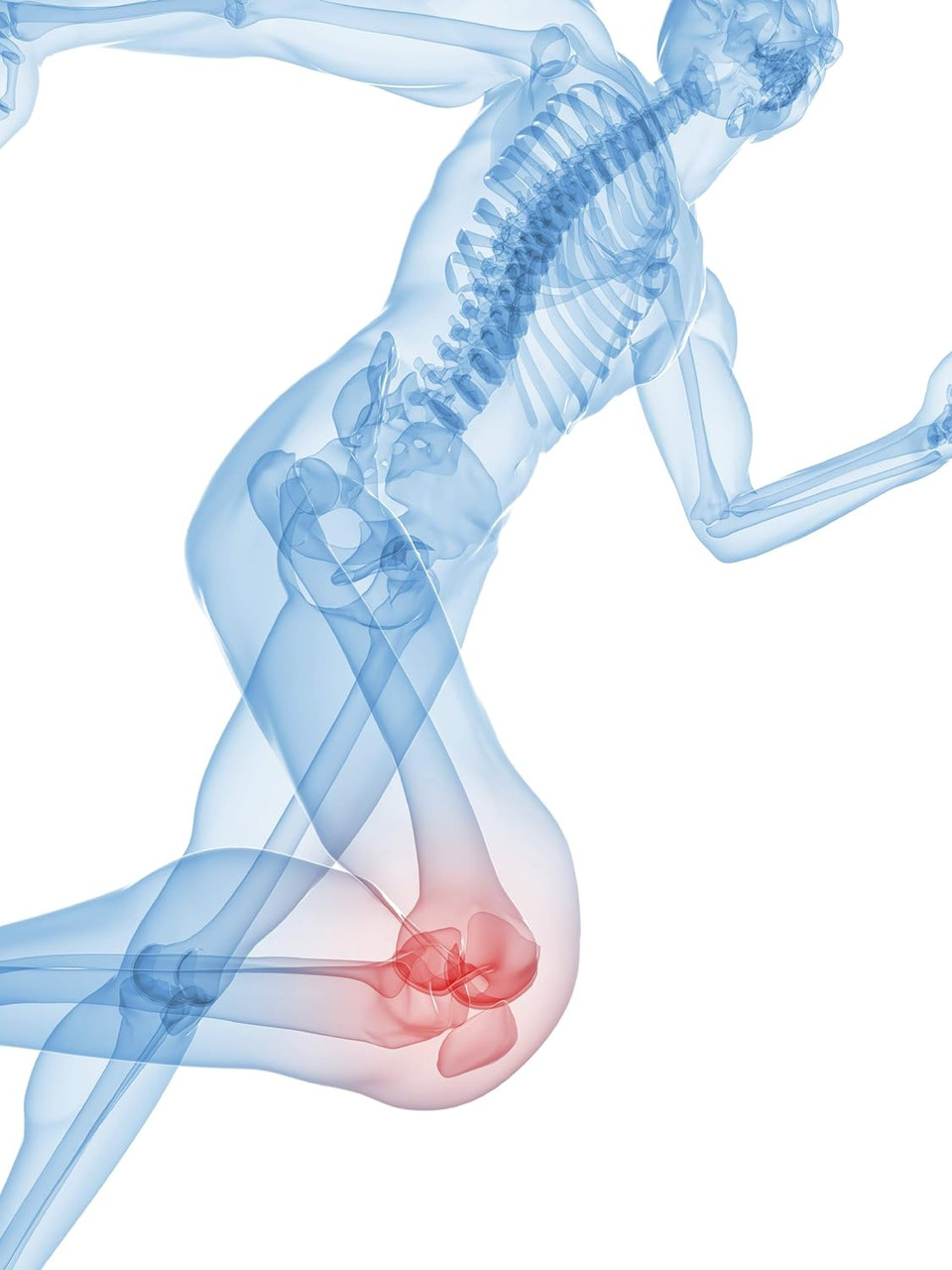 Zycal Bioceuticals Ostinol(Tm) 350 Bone & Joint Supplement With 350Mg Of Cyplexinolã¢Â® Bio-Active Protein Complex - For Moderate Bone Loss & Moderate Joint Disfunction - 30 Ct Capsules