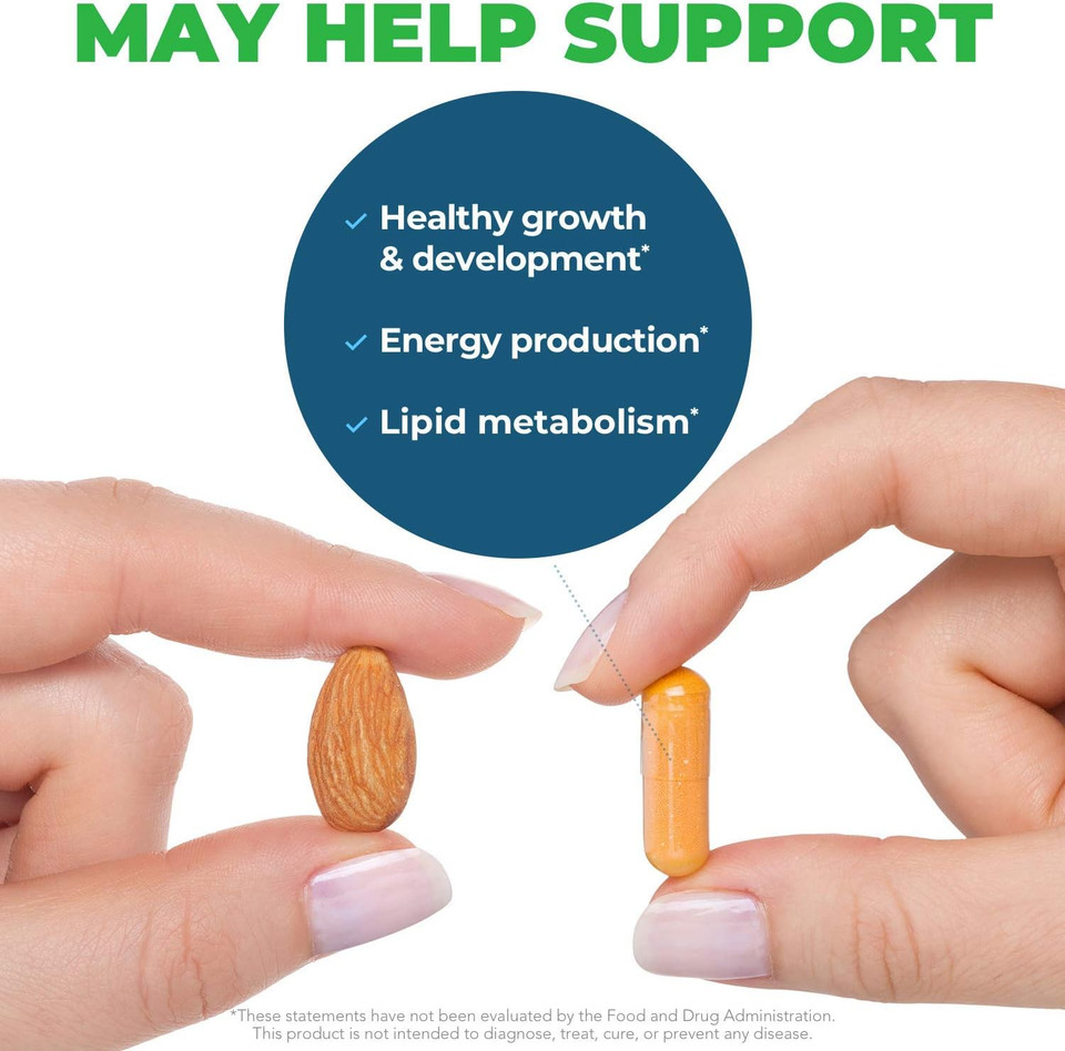 Seeking Health Riboflavin, Vitamin B2, 400 Mg Riboflavin, 4 Mg Active Riboflavin-5-Phosphate, Energy Supplement, Vegetarian (60 Capsules)