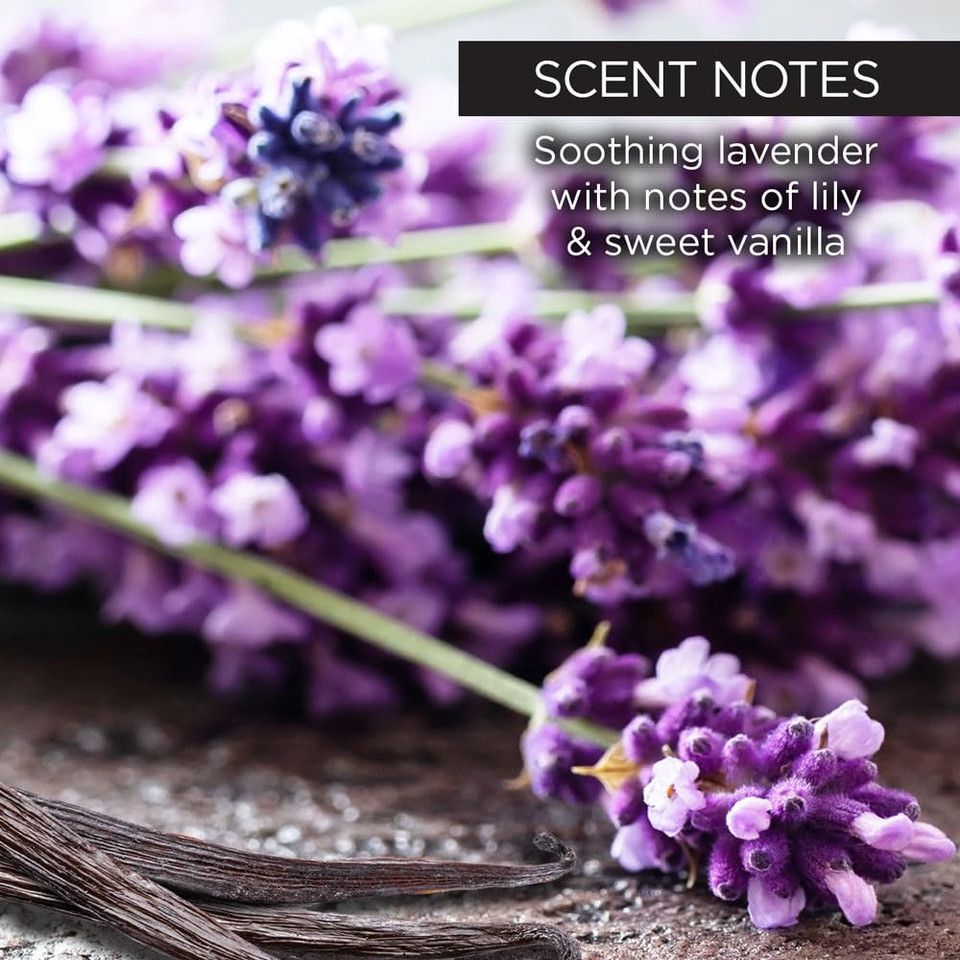 Whish Beauty Body Butter For Women - Moisturizing Body Lotion For Dry Skin - Antioxidant-Rich With Shea Butter, Aloe, & Raspberry Butter - Paraben & Sulfate Free - Lavender - 5 Fl Oz