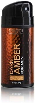 Bath And Body Works Signature Collection Dark Amber For Men Body Spray