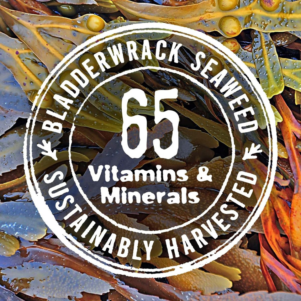 The Seaweed Bath Co. Hydrating Exfoliating Body Scrub, 6 Ounce, Citrus Vanilla Scent, Nutrient Rich Seaweed, Argan Oil, Aloe, Vegan, Paraben Free