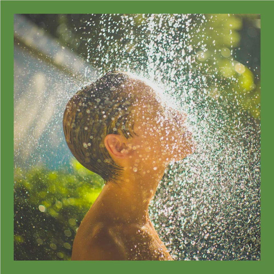 Wild Ferns Manuka Honey Shower Gel