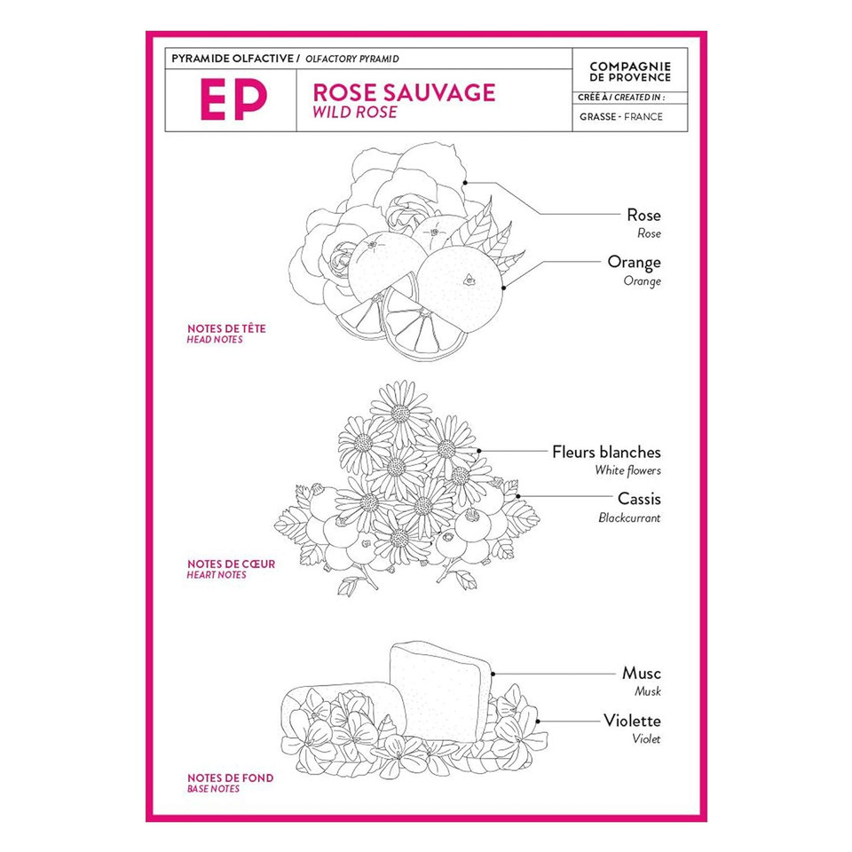 Compagnie De Provence Savon De Marseille Extra Pure Liquid Soap - Wild Rose - 16.9 Fl Oz Glass Pump Bottle And 33.8 Fl Oz Plastic Bottle Refillgift Set