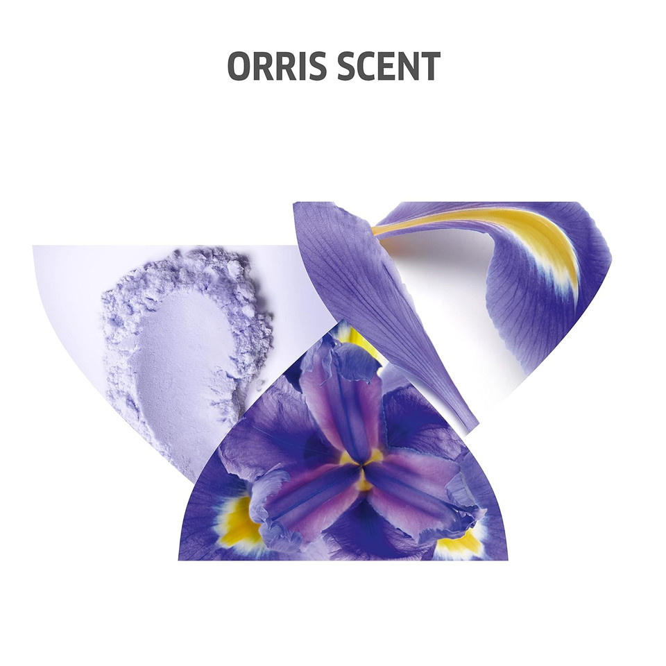 Wella Professionals Invigo Blonde Recharge Cool Blonde Shampoo + Conditioner Set, Refresh And Maintain Blonde Color, Rid Brassiness, Purple Shampoo + Conditioner