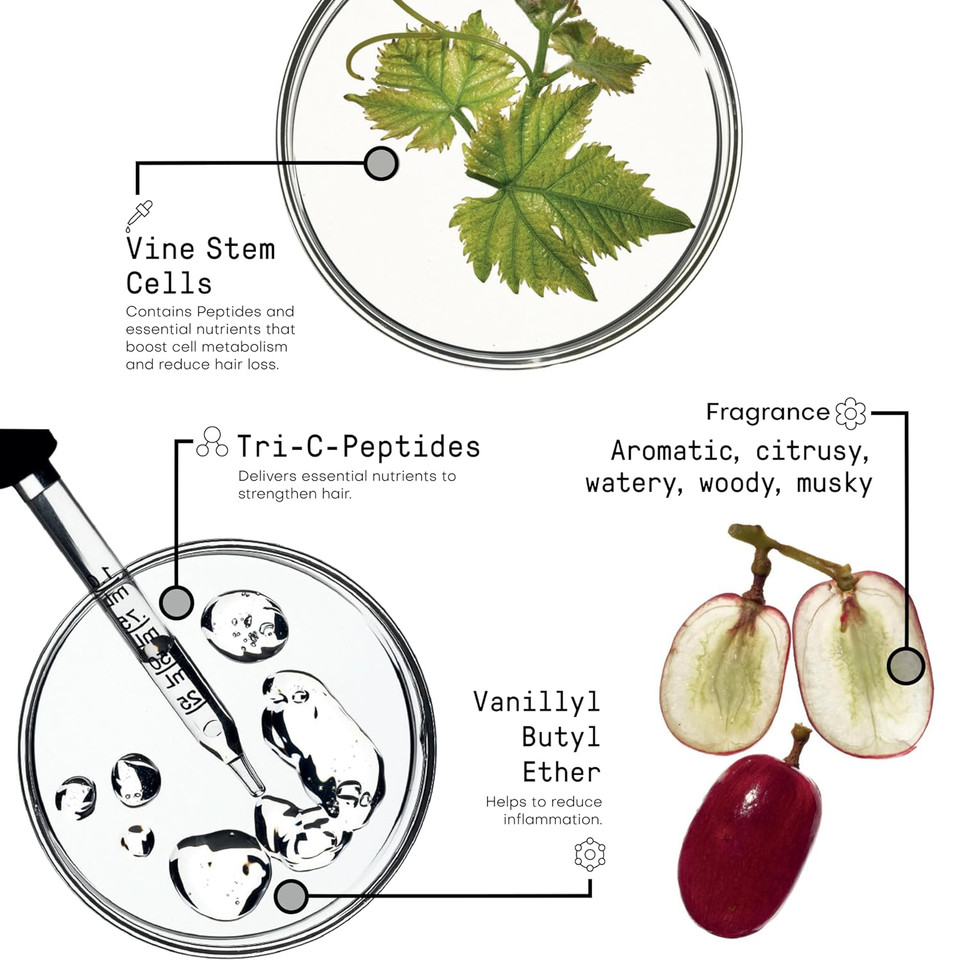 Framesi Morphosis Reinforcing Shampoo 8.4 Fl Oz, Volumizing Shampoo For Oily Scalps