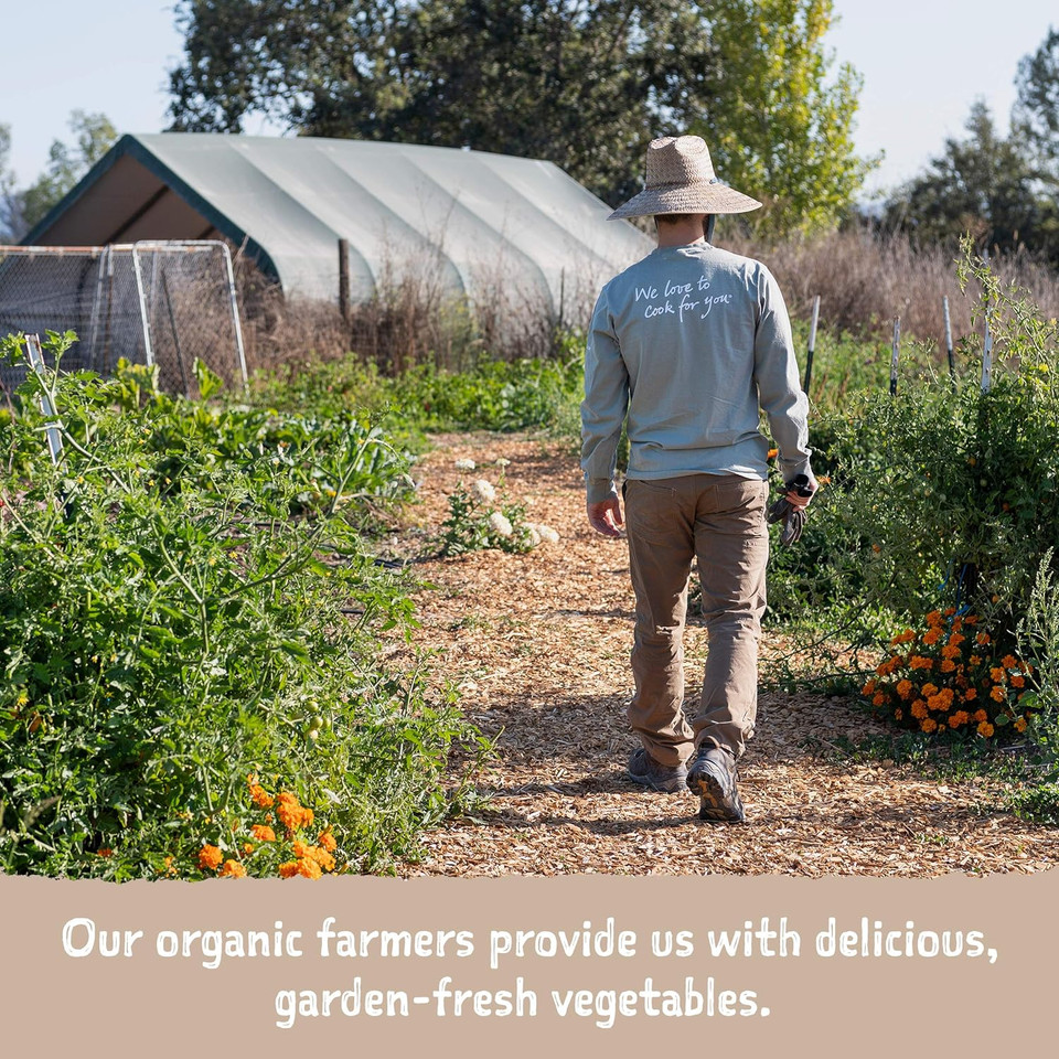 Amy'S, Chili, Gluten Free, Vegetarian, Organic, Spicy, Jalapeã£Â±O Pepper, 14.7 Oz, Pack Of 6