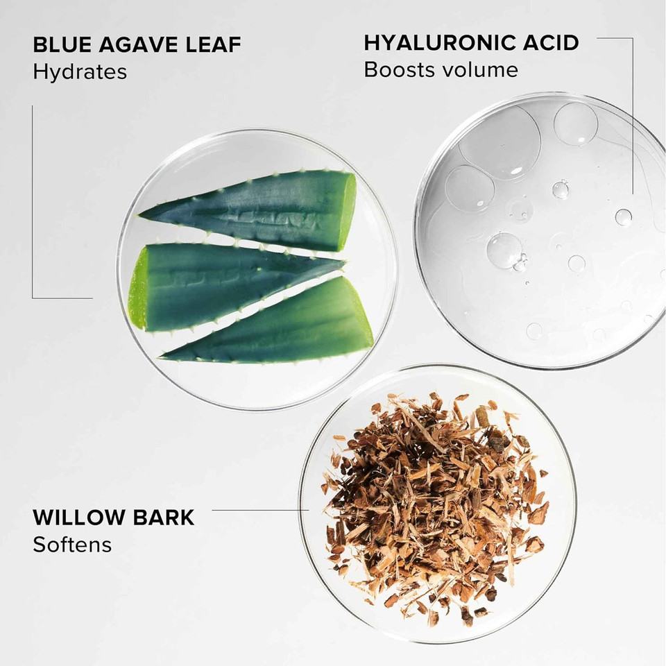 Alpyn Beauty Willow & Sweet Agave Plumping Lip Mask | Hydrating Daily Lip Mask Treatment For Fuller, Softer, Smoother & More Supple Lips | 0.35 Oz / 10 G