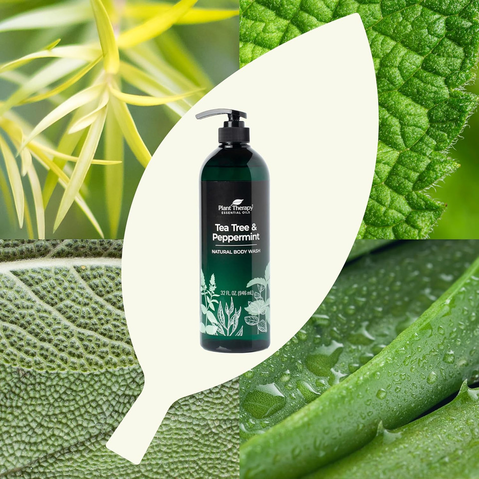 Plant Therapy Tea Tree And Peppermint Essential Oil Natural Body Wash W/Pump 32 Oz With 2Oz Travel Size, For All Skin Types, Sulfate Free Body Wash, For Men Or Women