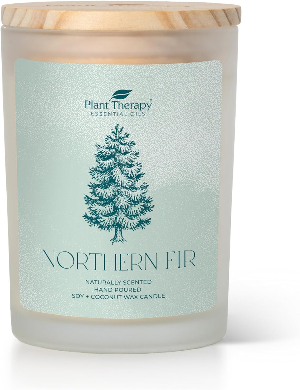 Plant Therapy Northern Fir Naturally Scented Candle 8 Oz Hand-Poured Coconut & Soy Wax Blend, Refreshing Forest Scent, Chic Frosted White Jar With Wooden Lid