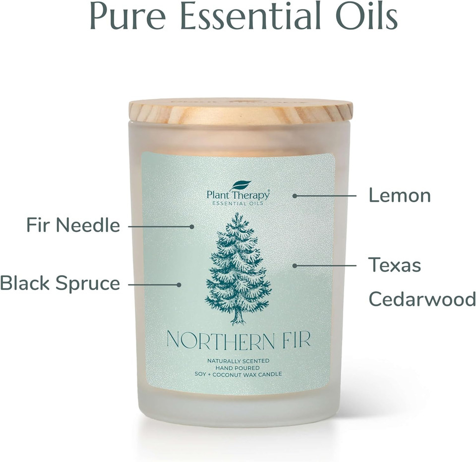 Plant Therapy Northern Fir Naturally Scented Candle 8 Oz Hand-Poured Coconut & Soy Wax Blend, Refreshing Forest Scent, Chic Frosted White Jar With Wooden Lid
